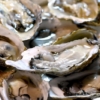 千葉牡蠣食べ放題　アイキャッチ画像